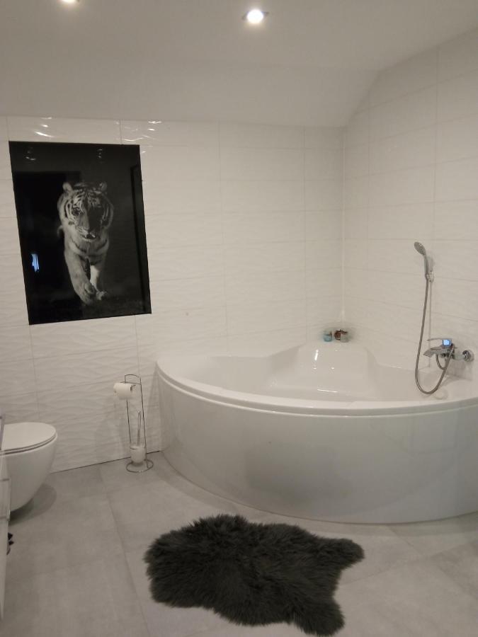 Apartamento Przy Jeziorze Iława Exterior foto